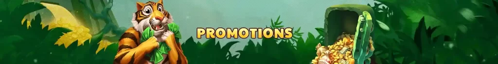 PESOMAX Promotions